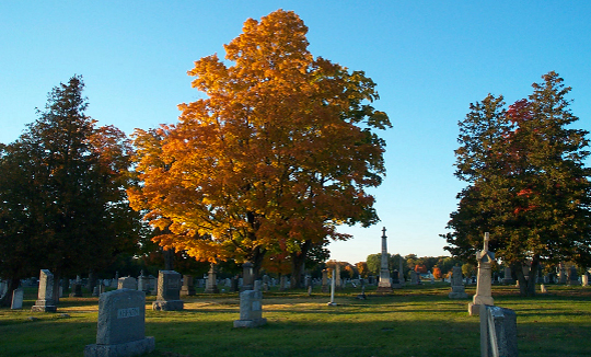 Begraafplaats of crematorium